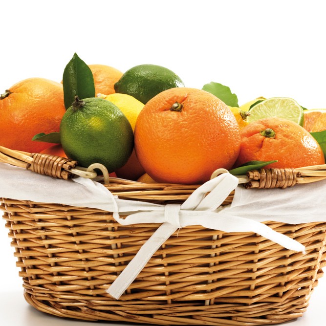 제철 과일 칵테일